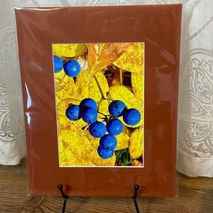 Wild Fall Berrys matted photo